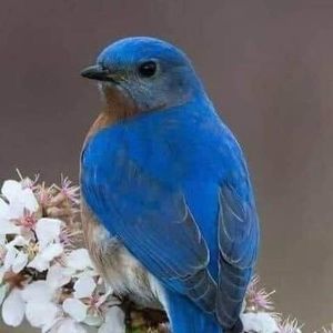 Meet your Posher, Moises